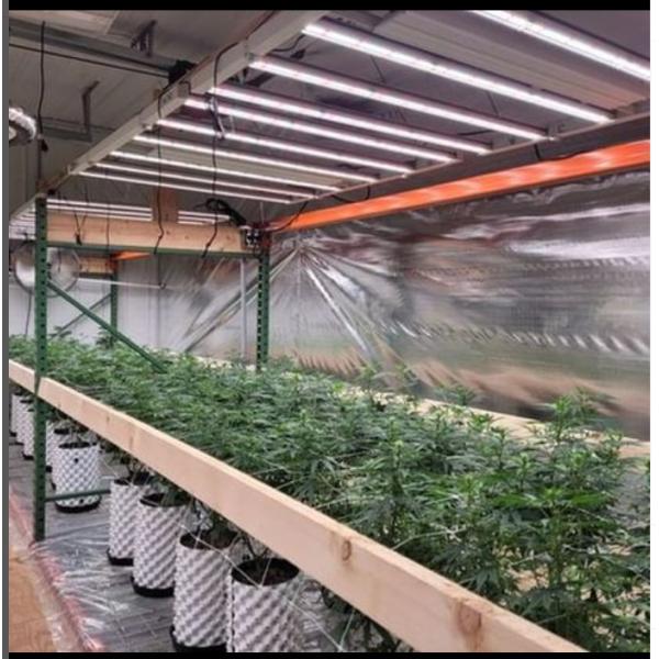 Полный спектр растет республика 1200W садоводов светов с УЛЬТРАФИОЛЕТОВЫМ и IR/Spectrum регулируемыми/Dimmable