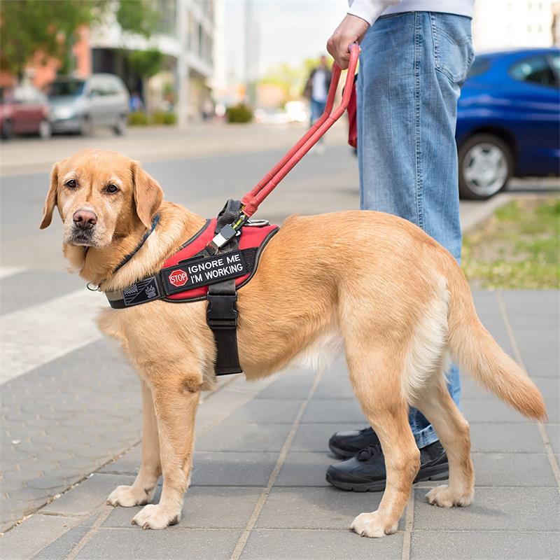 Custom Service Dog  Dog Vest Patches Removable Tactical Patches Embroidered Fastener Hook Loop Patch