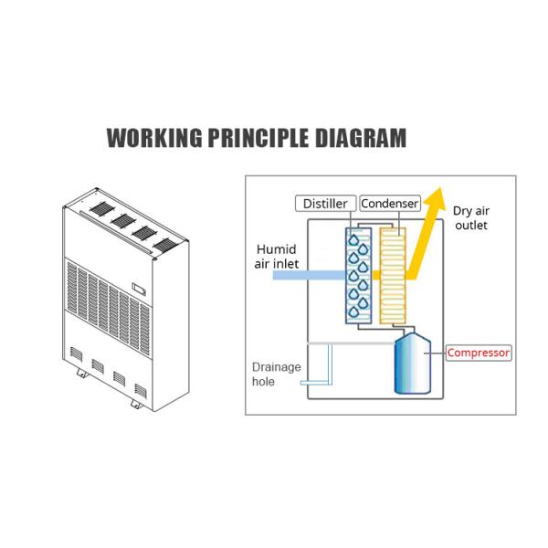 480L/D Environment Protection Factory Greenhouse Industrial Dehumidifier for Sale