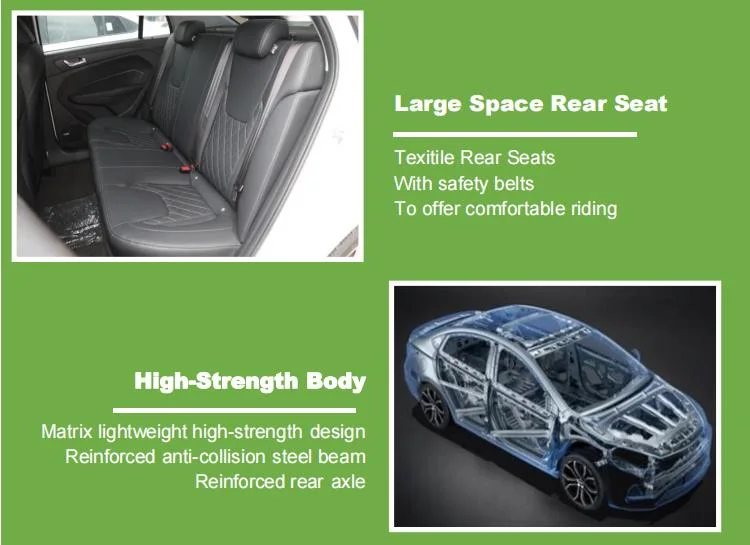 Raysince Factory Price High Speed Electric Car China Supplier Hot Sales New Energy Car with Four Seats and and Five Door