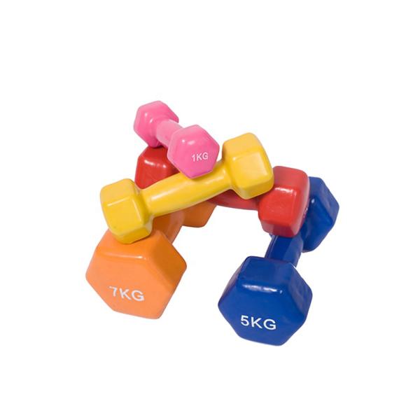 Vinyl 20Lb Strength Training Colored Dumbbell Set For Women And Men