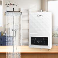Chauffe-eau à gaz d'échappement forcé sans réservoir avec allumage électronique ±0,5 °C