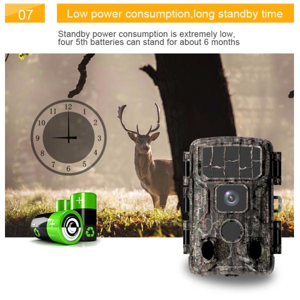 Wifi Infrared Night Vision Trail Camera Hunting 60m Outdoor Security