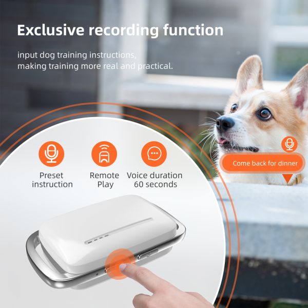 Waterproof IP67 Rechargeable Eco-Friendly Nylon Fashion Plastic 1000m Remote Control Dog Training Collar Shock-Free Vibration