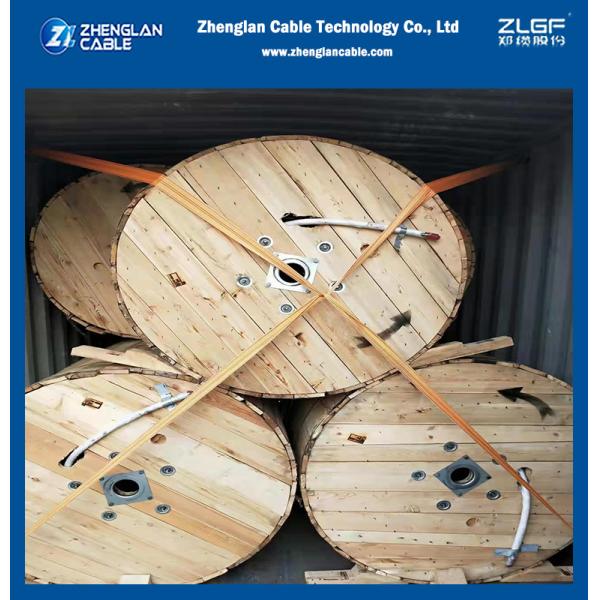 Надземная обнаженная алюминиевая номинальная площадь DIN48201 кода 300mm2 провода AAAC проводника