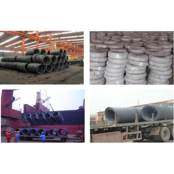 Черная заготовка для проволоки SAE 1006 1008 слабой стали 1010 (ПАКЕТ В КАТУШКАХ) диаметров 5.5mm 6mm 7.5mm