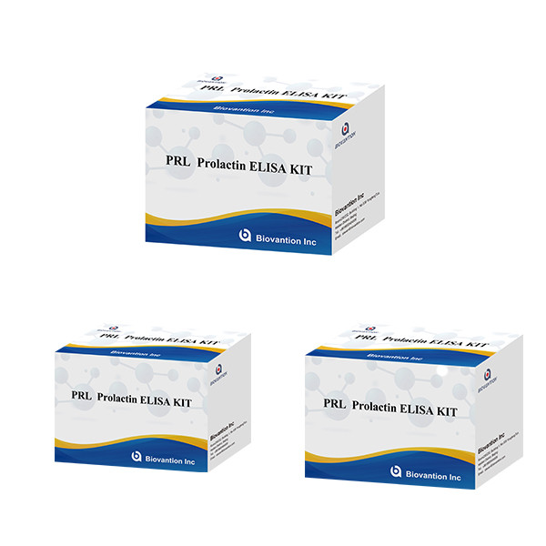 Hospitals Laboratories Clinics Use Prolactin Quantitative Immunoassay ELISA TEST KIT