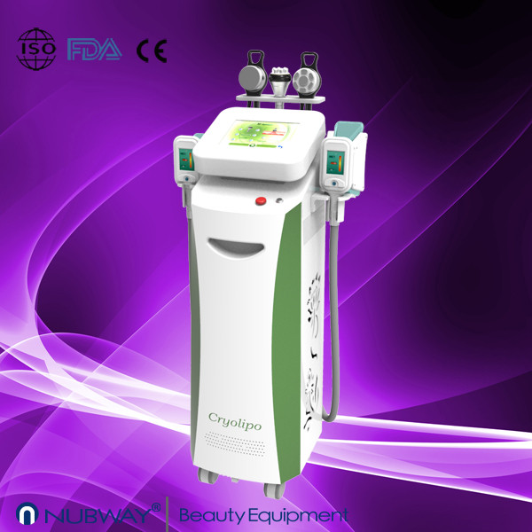 New professional freezing slimming equipment for whole body use