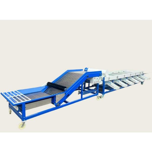 garlic sorting machine, garlic grading machine, garlic bulb sorter machine