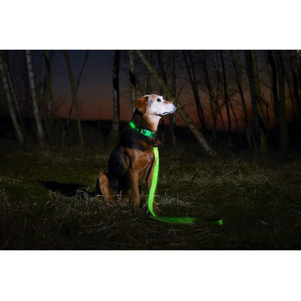 LED Dog Collar USB Rechargeable 2 Colors 3 Sizes