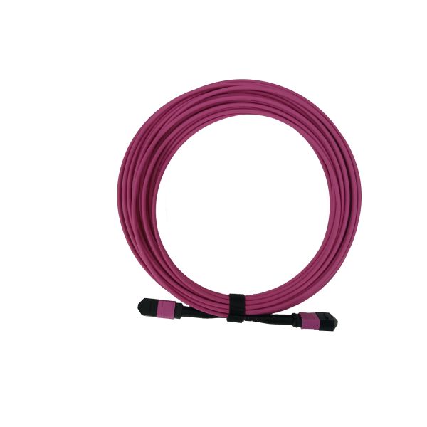 Câble de raccordement fibre OM4 50/125um MTP-24 avec 24 fibres et diamètre extérieur de 3,0 mm