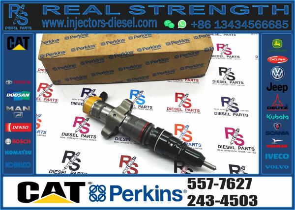 Nouveau moteur diesel pièces détachées C7 C9 injecteur de carburant 387-9427 557-7627 Pour la pelle 324D 324D FM 324D FM LL