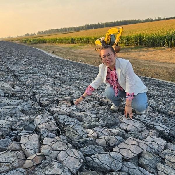 Galvanized Mesh Gabions Basket 80x100mm Durable Retaining Wall Solution For Philippines Projects