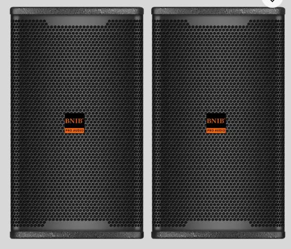 ODM High Power Party Speaker Wireless 200W 10 Inch 12 Inch Karaoke Audio System
