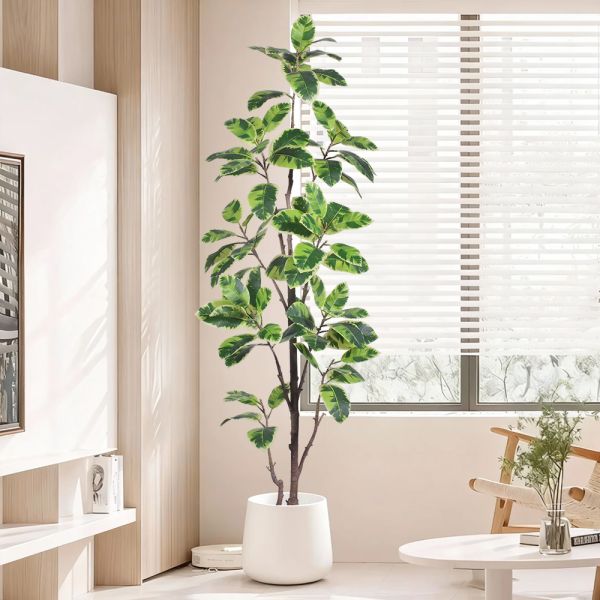 Latest New Arrival Artificial Indoor Plants Potted Plants Green White Faux Rubber Tree for Decoration Office Small Plastic