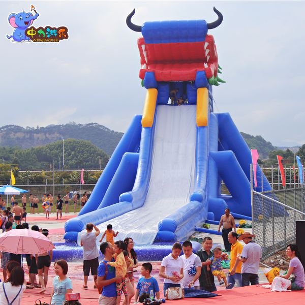 Customization Inflatable Water Slide Dragon Inflatable Slide Amusement Park
