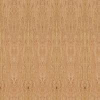 Taille spéciale de longueur du grain 2745mm de pommeau de panneau de contreplaqué d'eucalyptus pour la décoration d'hôtel
