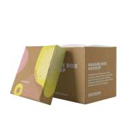 OEM Biodegradable Box Packaging for Industrial Shoes Clothing