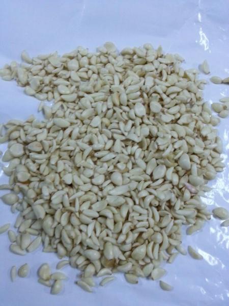 Garlic Clove Sorting Machine Garlic Color Sorter for Food Processing