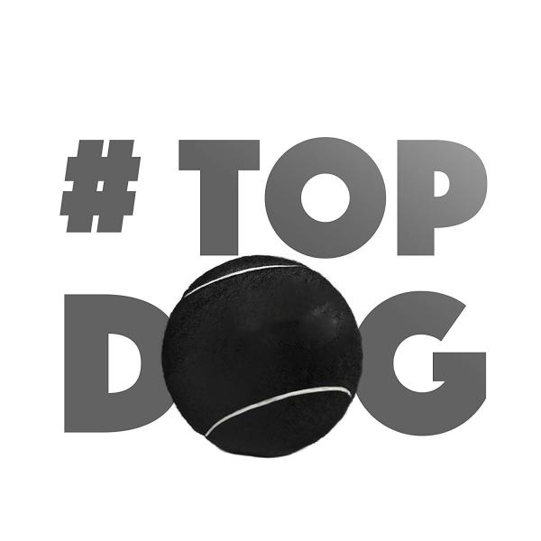 Eco Friendly Puppy Dog Tough Chew Toys , Durable Pet Tennis Balls For Dogs