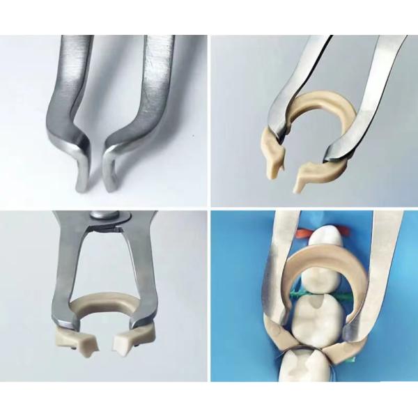 Dental Sectional Matrix System F2 Autoclavable includes Sectional Matrix Bands M2 + Resin Clamping Ring R3