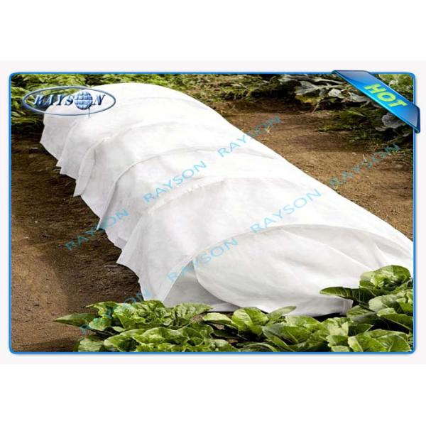 Agriculture Spunbond Non Woven Landscape Fabric 46m Joint Width