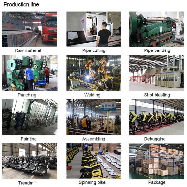 Professional Hammer Strength Plate Loaded Equipment / Seated Low Row Machine