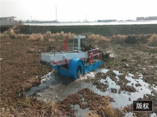 Self Propulsion 10M2 Body Pond Weed Harvester River Weed And Floating Cleaning