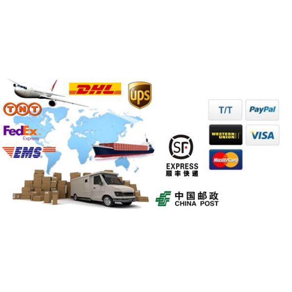 Cabo ethernet LSZH 1000ft da rede do forro de SFTP 23AWG