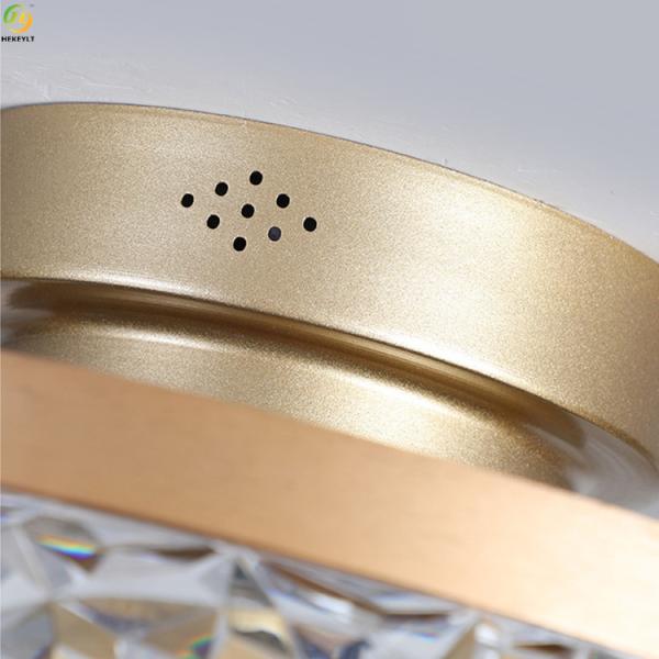 Maison légère pendante nordique de cuisson Art Ceiling Fan Light de la peinture LED