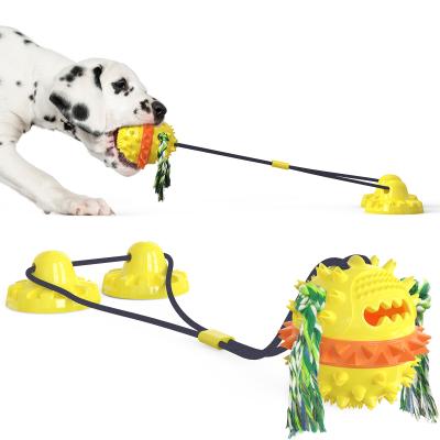 O animal de estimação interativo de salto multicolorido brinca 2 copos poderosos super Tug Dog Toy da sução