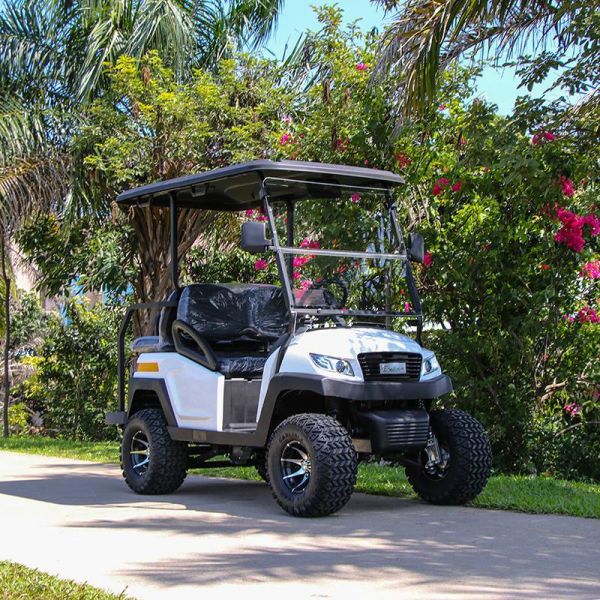 EXCAR Electric Hunting Buggy With Trojan Battery/Curtis Controller