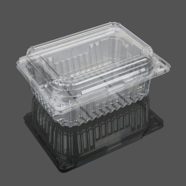 Transparent Big Clamshell Disposable Plastic Food Box