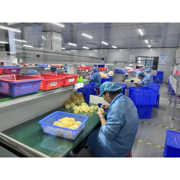 2024 Nouveau pompe à lait 3 modes 12 niveaux de silicone sans BPA Portable pompe à sein machine portable pour la mère