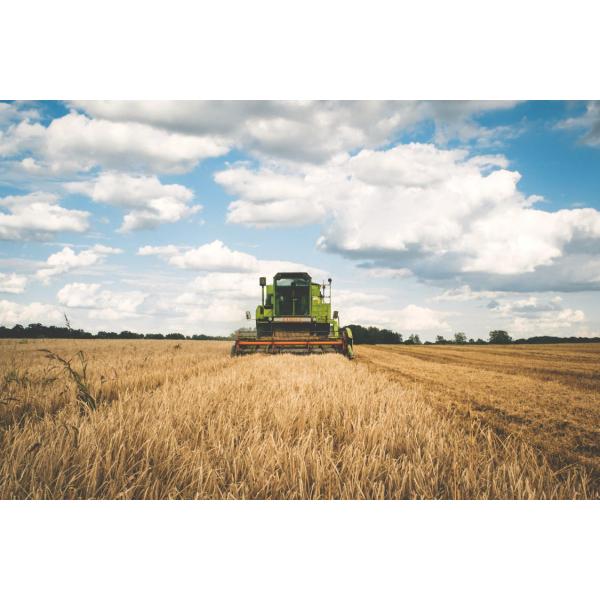 Пропитанный маслом материал Буша металла штепсельных вилок графита бронзовый