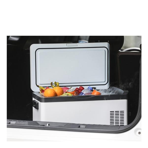 PAHS располагаясь лагерем 20L удваивают холодильник автомобиля комнаты малошумный