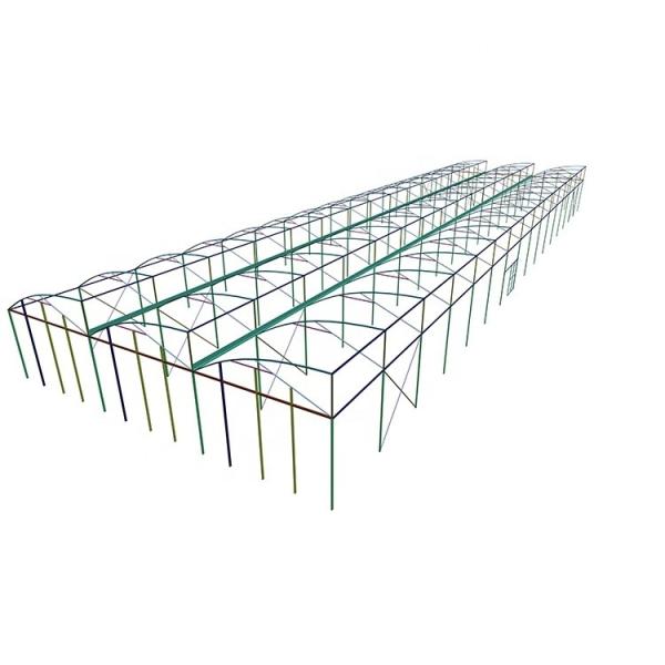 Customizable Plastic Tunnel Greenhouse Saw Tooth Roof Vent Multi Span For Agriculture