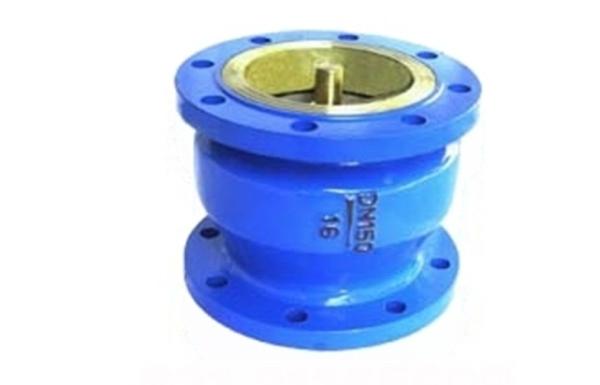 Ductile Iron Flanged Check Valve IP68 Silent Type For Drainage Pipeline