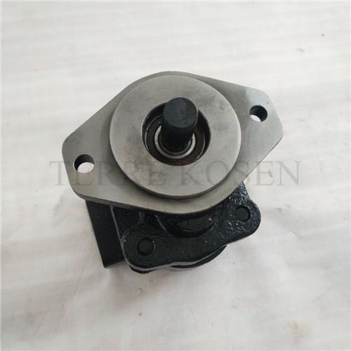 Hydraulic gear pump P330 bushing pump P330A597FYAB15-25