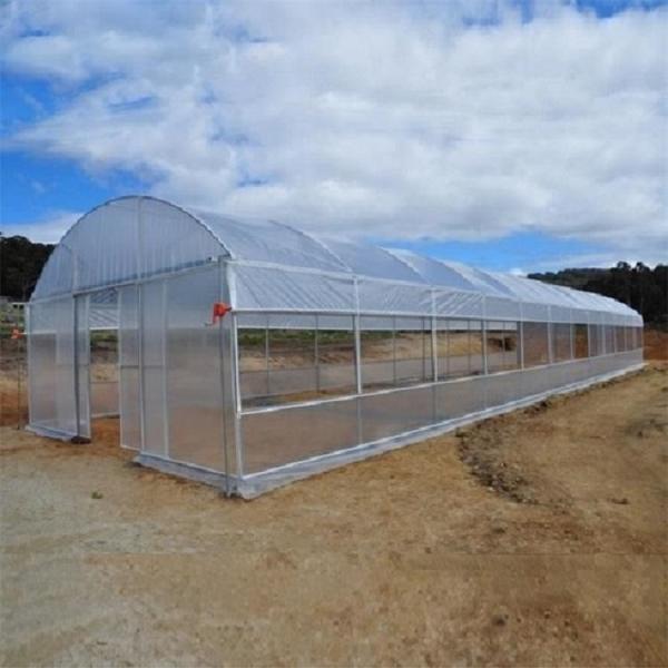 Mini Hot Stove Poly Tunnel Walk In Greenhouse Plastic Covering Tunnel Plastic Greenhouse