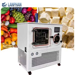 8kg/Batch Industrial Lab Freeze Dryer Lyophilizer for Microbial Products