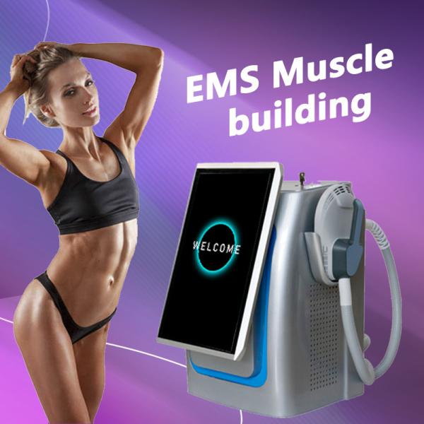 150HZ Frequency EMS Slimming Machine Professional For Enhanced Muscle Toning / Fat Burning