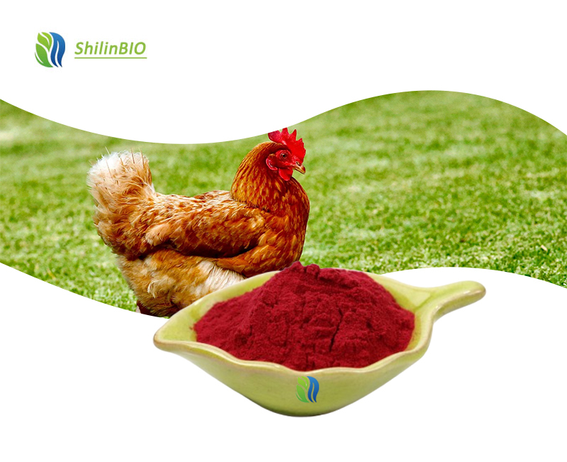 SLBIO Supply Food Color Poultry Feed Supplement Pure Canthaxanthin Powder CAS NO. 514-78-3