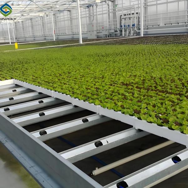 Customized Size Lettuce Green House Easy Installation With Sliding / Swing Door