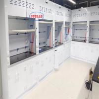 Système de commande micro-ordinateur Chemical Fume Hood Laboratoire Fuming Armoire Installation murale Type