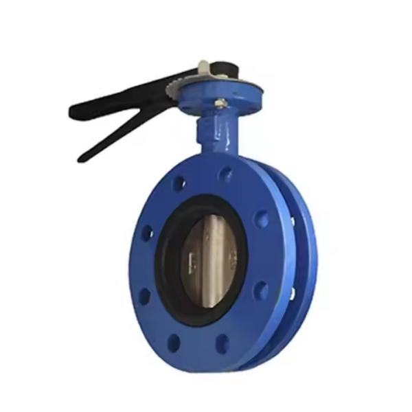 BS 4504 Stainless Steel Double Flange Concentric Butterfly Valve Standard Port Size