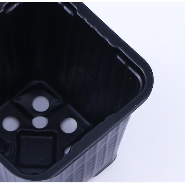 Customized square vacuum formed black PP PS plastic plant planting pot basin transplanting garden maintenance tray