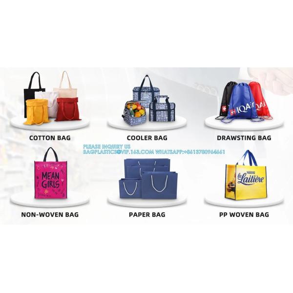 Portable Wholesale Insulated Dual Compartment Lunch Cooler Bag Customizable Promotional Fashion Lunch Beer Package