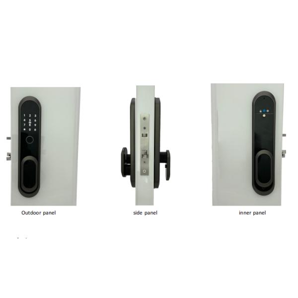 ELA E-556 Automatic Door Smart Lock Opens By Touch Without Pressing Handle