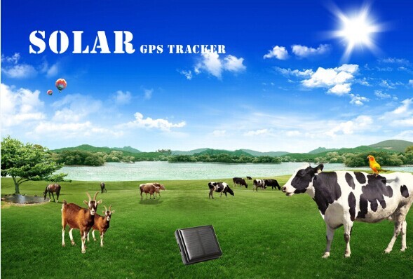 free software gps /gsm/gprs sim card tracker animal ip67 waterproof gps vehicle tracker